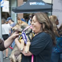 <p>Robyn Urman, founder of Pet ResQ, showcases ones of her pooches in need of a loving home at Woofstock last year.</p>