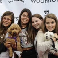 <p>The pup-parazzi will be on hand at Woofstock to snap photos of locals with pups who need to be rescued.</p>