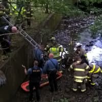 <p>Firefighters carried her to safety.</p>