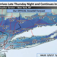 <p>A look at snowfall projections for Westchester, Putnam and Rockland counties.</p>