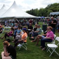 <p>Wayne Day attendees will be able to sample live music, food from a wide array of restaurants and many activities.</p>