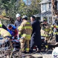 High Winds Knock Tree Onto Car In Upper Saddle River, Trap Female Driver From NYS