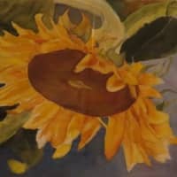 <p>Sister Mary Ellen Wisner captured the delicate beauty of a sunflower in bright watercolors.</p>