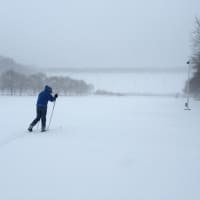 <p>A cross country skier enjoys the snow in Valhalla during the blizzard of 2016.</p>