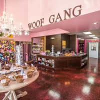 <p>The interior of a Woof Gang Bakery.</p>