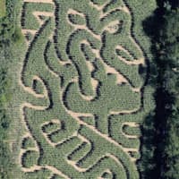 <p>Aerial photo of Plasko Farm&#x27;s 2015 corn maze entitled Defeat the Dragon</p>