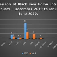 <p>Black bears have been spotted throughout Connecticut during the summer.</p>