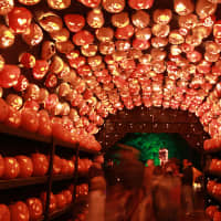 <p>The Tunnel O&#x27; Pumpkin Love at the Great Jack O&#x27;Lantern Blaze</p>