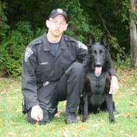 <p>K-9 Bruno, shown with handler Brookfield Police Officer Jeffrey Osuch, was memorialized in a painting by local artist Rachael Chandler.</p>