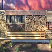 <p>The bug hotel, made of a variety of mediums to attract different insects, offers raffia grass, clay pots, cut bamboo, pine cones, wooden slats and drilled holes for night protection, overwintering and laying eggs.</p>