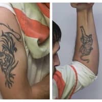 <p>Michael C. Burham&#x27;s tattoos</p>