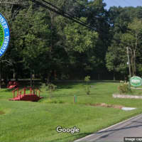 Coroner IDs Camper Killed By Falling Tree In Bucks County