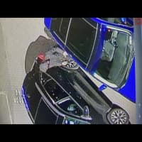 <p>Suspect entering other people&#x27;s cars.</p>
