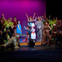 <p>&quot;Seussical the Musical&quot; will be performed April 29-30 and May 6-7 at Stamford High</p>
