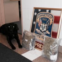<p>State Police K9 Favor, a female black Labrador retriever, alerted to two bags stuffed under the passenger front seat that contained marijuana during a stop for speeding on I-84, state police said.</p>