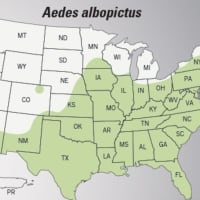 <p>This CDC map shows the potential range of Aedes albopictus -- Aedes aegypti’s mosquito cousin -- that could also spread the Zika virus. Shaded areas of the map do not indicate that there are infected mosquitoes in the area.</p>