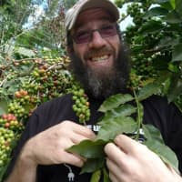 <p>Mike Love, co-owner of Coffee Lab Roasters in Tarrytown, communes with the source of the coffee beans he roasts up for his green cafe.</p>