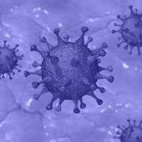 Covid-19: Hudson Valley Infection-Rate Stays High; New Breakdown By ...