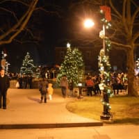 <p>A collection of Christmas tree brightens the plaza in front of the Danbury Library. </p>