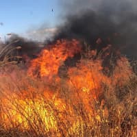 <p>Meadowlands brush fire on Sunday.</p>