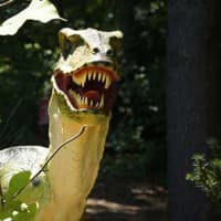 <p>Lasdon Park in Katonah is home to dinosaurs.</p>