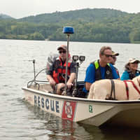 <p>Search and rescue dogs and their handlers came to Monksville Reservoir in Ringwood for a two-day training, dubbed Water Workout Weekend.</p>