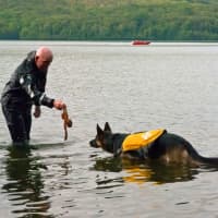 <p>Search and rescue dogs and their handlers came to Monksville Reservoir in Ringwood for a two-day training, dubbed Water Workout Weekend.</p>