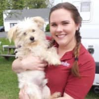 <p>Winston, before his makeover, with Canine Company groomer Rachel. Winston was one of the ten dogs in need of adoption at the Danbury Animal Welfare Society (DAWS) in Bethel who were treated to “canine makeovers.&quot;</p>