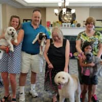<p>The Dog Days of Summer event helped raise money for the SPCA.</p>