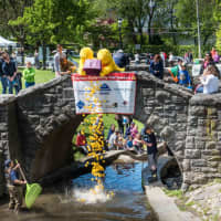 <p>Tarrytown Rotary&#x27;s Rubber Ducky Derby Day took place April 30.</p>