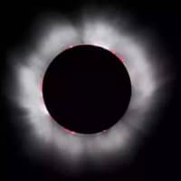 <p>An image of the total solar eclipse.</p>