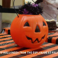 <p>Residents at Esplanade at Palisades enjoyed Halloween.</p>