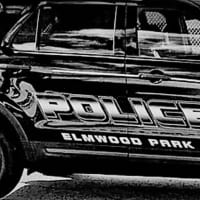 <p>Elmwood Park police</p>