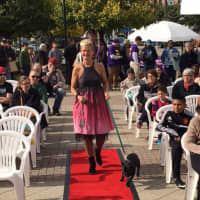 <p>An Ossining resident and her dog took to the red-carpet runway during the Fall Food and Fashion show on Saturday at Market Square.</p>