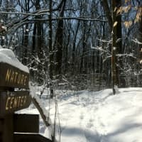 <p>Flat Rock Brook Nature Association will have a &quot;deer management&quot; information session Thursday night to discuss their decision to build an enclosure to deter deer, as opposed to bow hunting to control the population.</p>