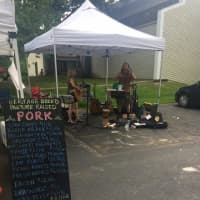 <p>Musicians join the lineup every week at the Old Greenwich Farmers Market. </p>