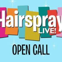 <p>There is a casting call out for an actor to play the role of tracy in NBC&#x27;s live musical, &quot;Hairspray Live!&quot;</p>