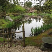 <p>The Hammond Museum and Japanese Stroll Garden in North Salem will open for the 2016 season this Saturday, April 16. A free artists&#x27; reception with music and refreshments is planned.</p>