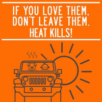 <p>The Heat Kills sign unveiled in Westport this week.</p>