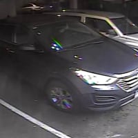 <p>The suspect in the middle of a car burglary at Hotel Zero Degrees in Norwalk</p>