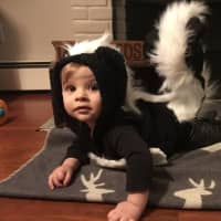 <p>A 9-month-old &quot;Little Stinker&quot; in a homemade skunk costume.</p>