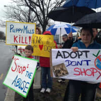 <p>&quot;Adopt Don&#x27;t Shop&quot; reads a sign held by a young protestor outside of Just Pups on Route 17 in Paramus.</p>