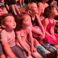<p>Children enthralled with the fireworks display. </p>