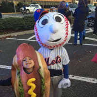 <p>Mr. Met and his ballpark frank (brother)</p>