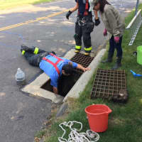 <p>The firefighters remove the storm drain and prepare to save the ducklings.</p>
