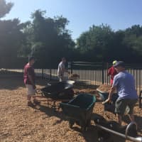 <p>Members of Knights of Columbus St. Matthew Council #14360 in Norwalk recently helped All Saints Catholic School by spreading 80 yards of mulch in the park/playground area.</p>