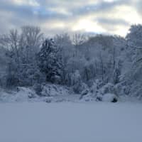 <p>A snowy backyard in Ridgefield, Conn.</p>