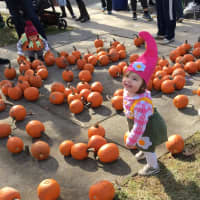 <p>Audrey Robinson enjoys the pumpkins at the Pleasantville Ragamuffin Parade.</p>