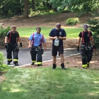 <p>The ducklings are carried to safety by the crew from Norwalk Fire Department Ladder Co. #1.</p>