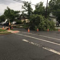 <p>Sunday&#x27;s storm took out a tree that fell onto Hawthorne Avenue.</p>